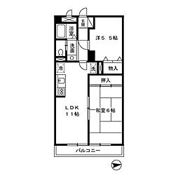 エーデルワイス 2階2LDKの間取り