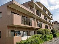 東京都西東京市柳沢4丁目1-21：物件画像／ハウスコム西東京株式会社　ひばりヶ丘店