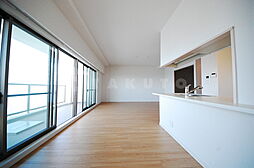 JR関西本線 JR難波駅 徒歩4分の賃貸マンション 21階4SLDKのリビング/ダイニング