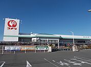 【ホームセンター】コメリハード＆グリーン小笠店まで500ｍ