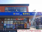 【ドラッグストア】ハックドラックまで220ｍ
