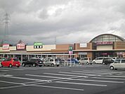 【ショッピングセンター】菰野町イオンタウンまで1700ｍ