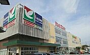 【スーパー】ヨークマート東道野辺店まで1700ｍ