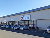 【ドラッグストア】カワチ薬品針ヶ谷店まで800ｍ