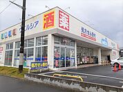【ドラッグストア】ウエルシア　鹿嶋平井店まで450ｍ