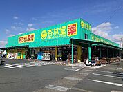 【ドラッグストア】杏林堂豊田小立野店まで250ｍ