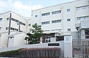 【小学校】飯島小学校まで917ｍ