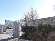 【大学】白鴎大学大行寺キャンパスまで850ｍ