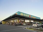 【ドラッグストア】杏林堂スーパードラッグストア掛川花鳥園前まで1178ｍ