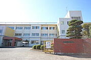 【小学校】筑西市立養蚕小学校まで851ｍ