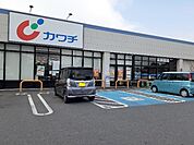 【ドラッグストア】カワチ薬品吉井店まで4400ｍ