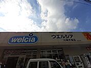 【ドラッグストア】ウエルシア川崎平間店まで80ｍ
