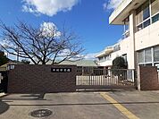 【幼稚園】市立平地保育園まで278ｍ