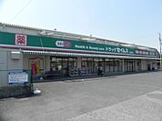 【ドラッグストア】ドラッグセイムス花野井店まで400ｍ