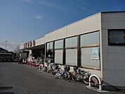 【スーパー】せんどう古市場店まで800ｍ