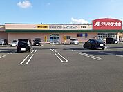 【ドラッグストア】クスリのアオキ七栄店まで600ｍ