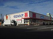 【ドラッグストア】ウエルシア清水天王店まで1200ｍ