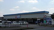 【ドラッグストア】カワチ薬品友部店まで1000ｍ