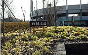 【公園】県立長生の森公園まで2600ｍ