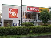 【ドラッグストア】スギドラッグ静岡鷹匠店まで900ｍ