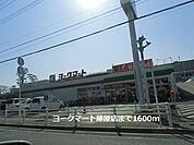 【スーパー】ヨークマート藤原店まで1600ｍ