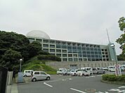 【市役所・区役所】掛川市役所まで868ｍ