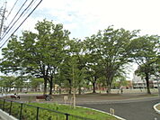 【公園】森下公園まで397ｍ