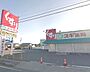 周辺：【ドラッグストア】スギ薬局藤岡店まで1349ｍ