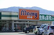 【スーパー】マミー二枚橋店まで750ｍ