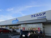 【ドラッグストア】ウエルシア田彦店まで825ｍ