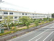 【中学校】平塚市立浜岳中学校まで739ｍ