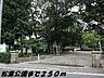 周辺：【公園】松葉公園まで250ｍ