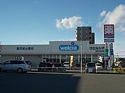 【ドラッグストア】ウエルシア平松本町店まで480ｍ