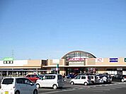 【ショッピングセンター】イオンタウン菰野店まで3100ｍ