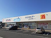 【ドラッグストア】ウエルシア堂端店まで700ｍ