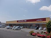 【スーパー】ヨークベニマル谷田部店まで650ｍ