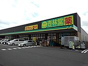 【ドラッグストア】杏林堂　厚原店まで800ｍ