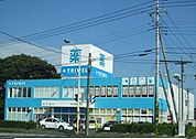 【ドラッグストア】トライウェル那珂店まで1000ｍ