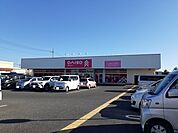 ダイソーとりせん真岡店まで550ｍ