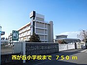 【小学校】西が丘小学校まで750ｍ