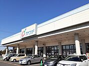 【ドラッグストア】カワチ　小山東店まで700ｍ