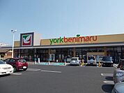 【スーパー】ヨークベニマルまで850ｍ