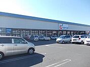 【ドラッグストア】カワチ薬品まで500ｍ