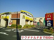 【その他】マクドナルドまで800ｍ