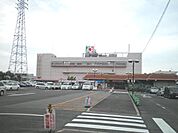 【スーパー】イズミヤ和泉府中店まで723ｍ