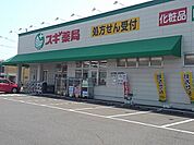 【ドラッグストア】スギ薬局舟橋店まで600ｍ