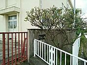 【小学校】一宮市立　黒田小学校まで400ｍ