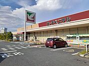 【スーパー】ヨークベニマル日立会瀬店まで400ｍ