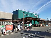 【ホームセンター】カインズ安中店まで1300ｍ