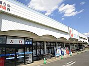 【ドラッグストア】カワチ薬品　渡里店まで1000ｍ